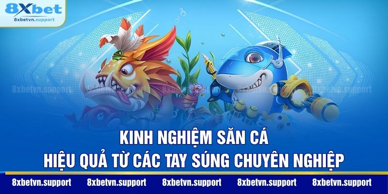 Kinh nghiệm săn cá hiệu quả từ các tay súng chuyên nghiệp